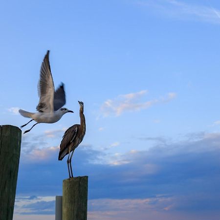 Forest Beach Villas Hilton Head Island Zimmer foto